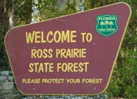 ross prairie01