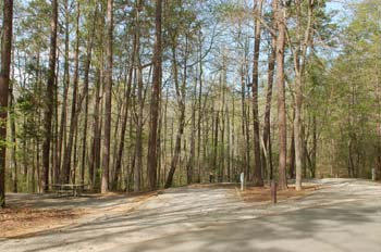 rudds creek05
