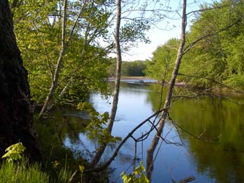 sacoriver20