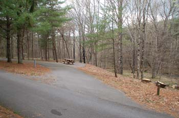 stonyfork04
