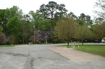 spring creek05