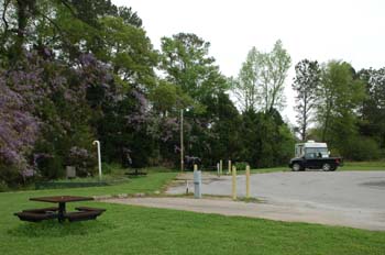 spring creek06