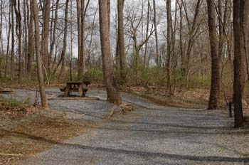 sugar hollow05
