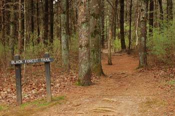 sugar hollow12