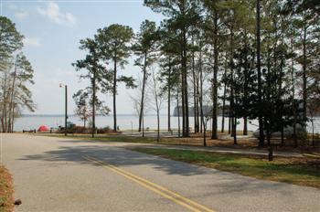 whiteoak04