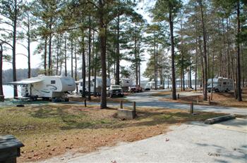 whiteoak07