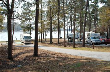 whiteoak08