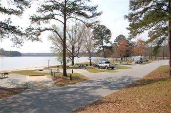 whiteoak11