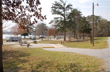 whiteoak12