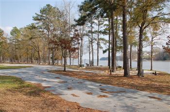 whiteoak16