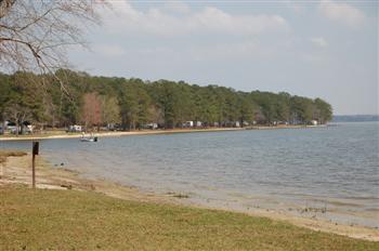 whiteoak19