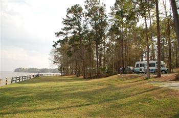 whiteoak24