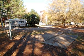 windsor nc02