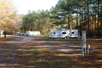 windsor nc03