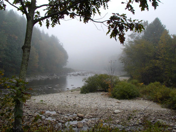 winhall6