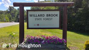 willard brook01