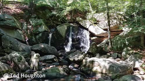 willard brook14