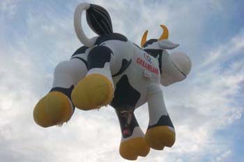 balloon fiesta172