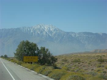 ca0050