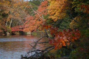 charles river26