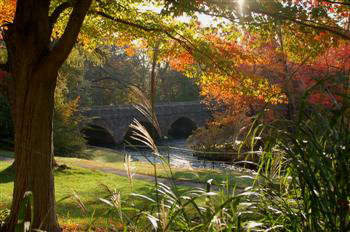 charles river42