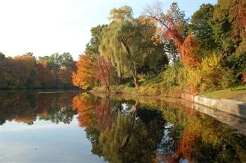 charles river50