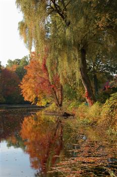 charles river52