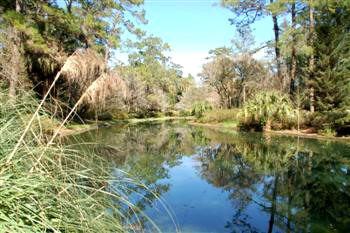 maclay24