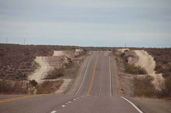 tx010
